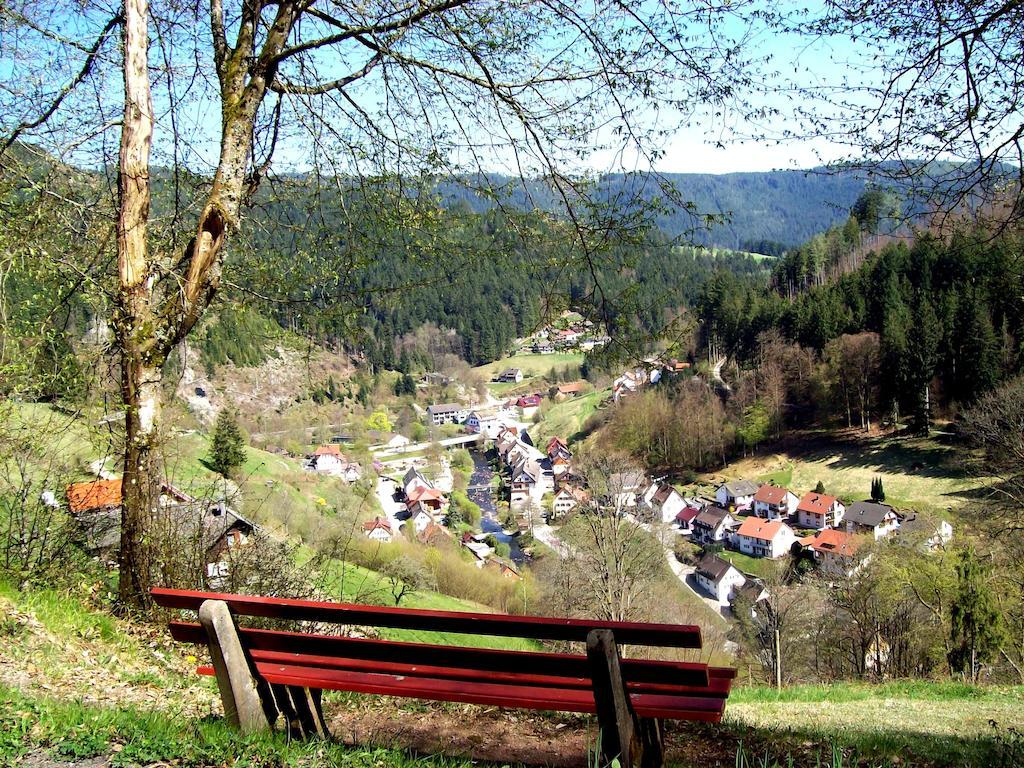 Schonmunzach Landhaus Schwaben מראה חיצוני תמונה